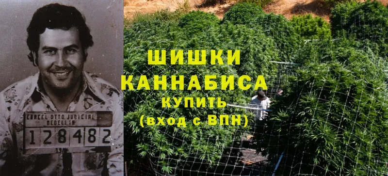 Каннабис SATIVA & INDICA  продажа наркотиков  Игра 